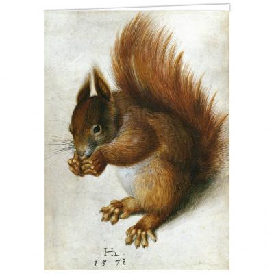 A Squirrel by Hans Hoffmann